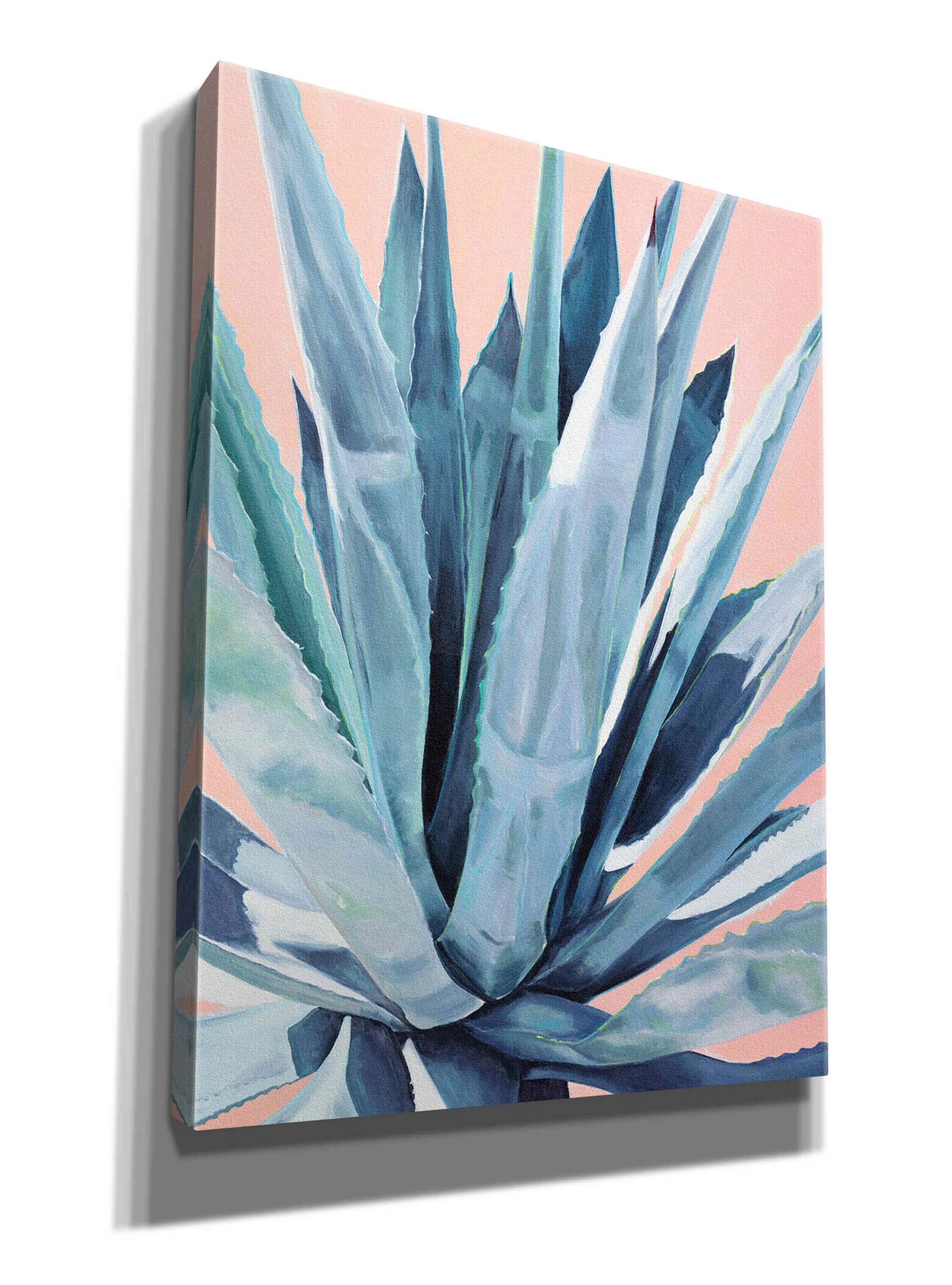 'Agave With Coral by Alana Clumeck Giclee Canvas Wall Art